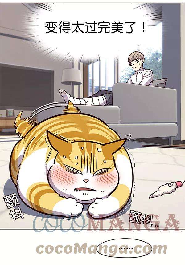 觉醒吧，铲屎官！16话