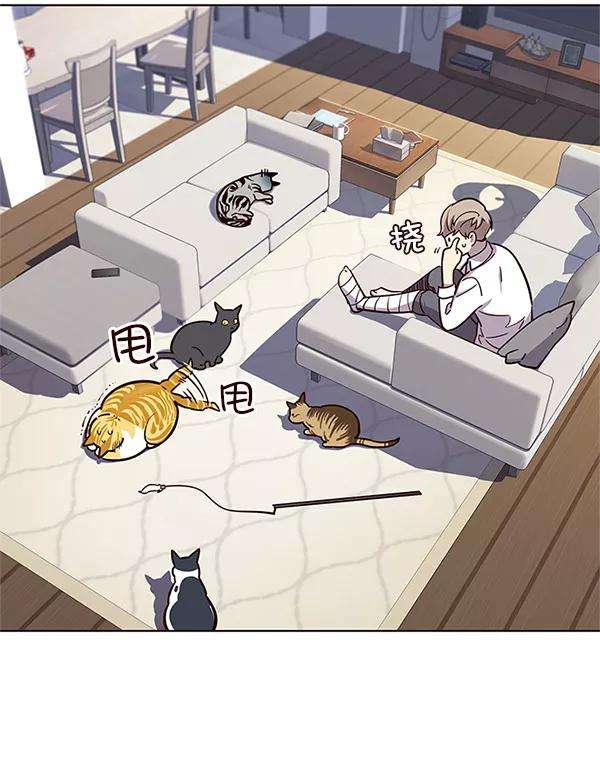 觉醒吧，铲屎官！16话