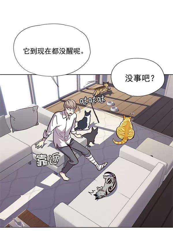 觉醒吧，铲屎官！16话