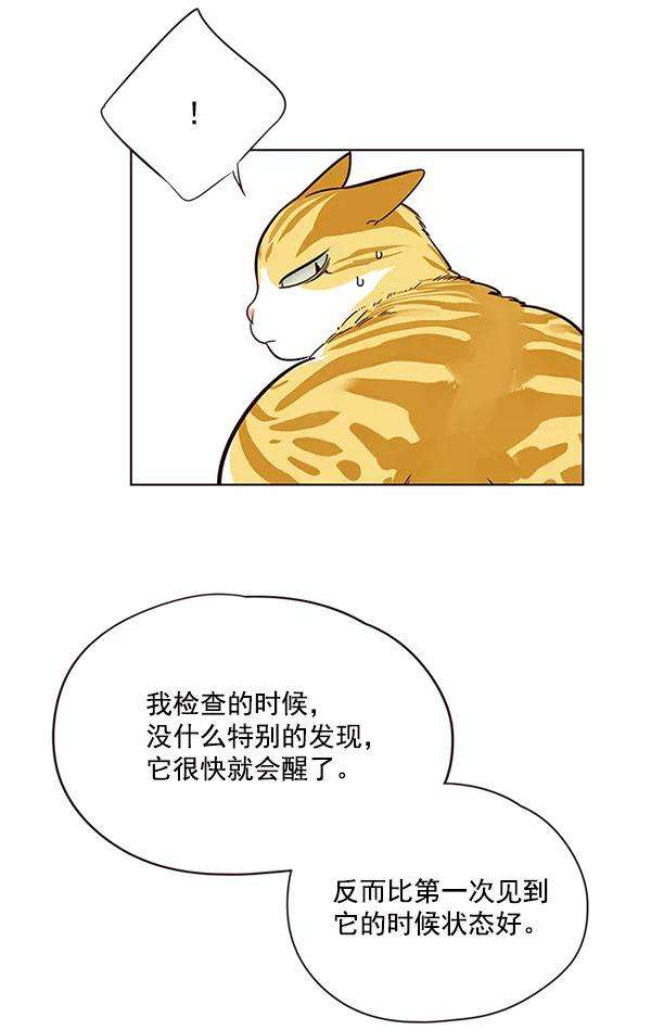 觉醒吧，铲屎官！16话