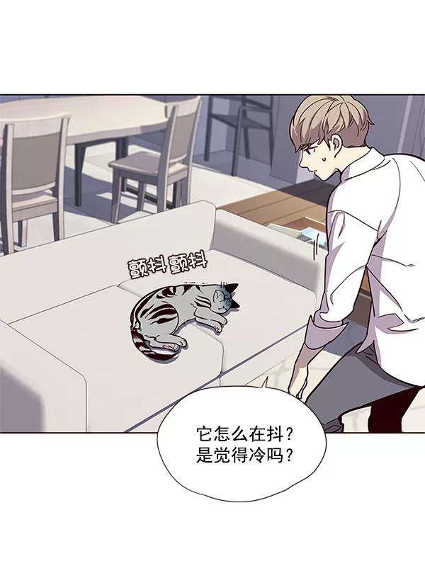 觉醒吧，铲屎官！16话