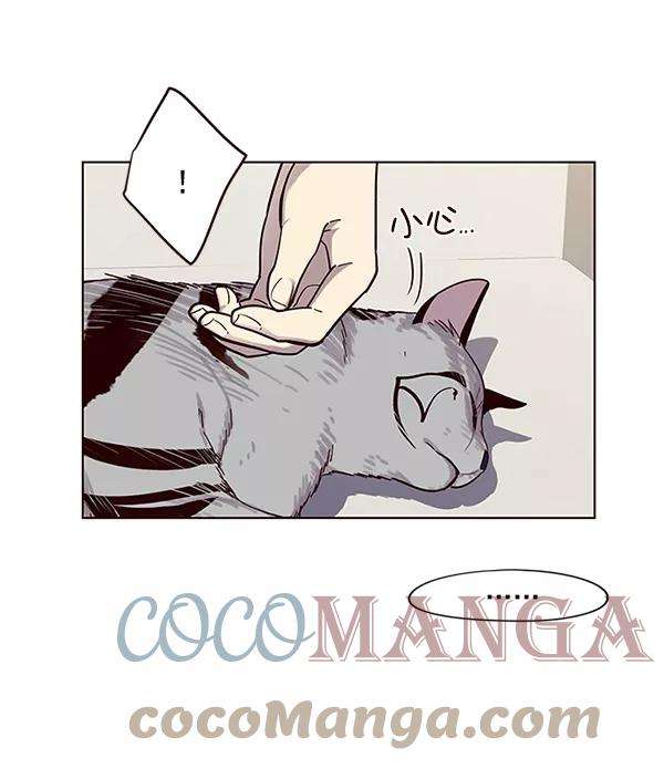 觉醒吧，铲屎官！16话