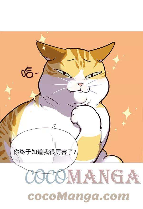 觉醒吧，铲屎官！16话