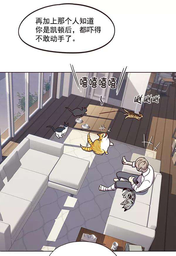 觉醒吧，铲屎官！16话