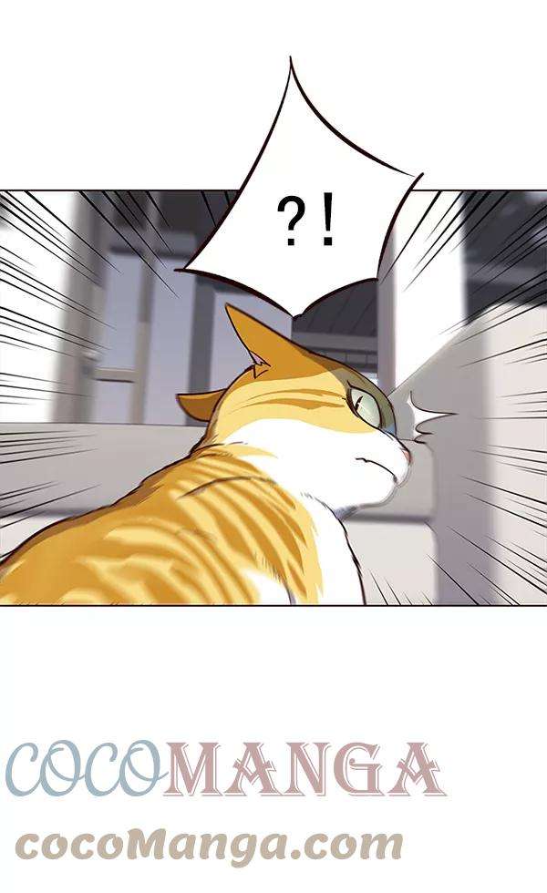 觉醒吧，铲屎官！16话