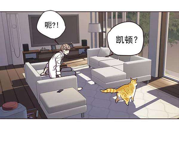 觉醒吧，铲屎官！16话