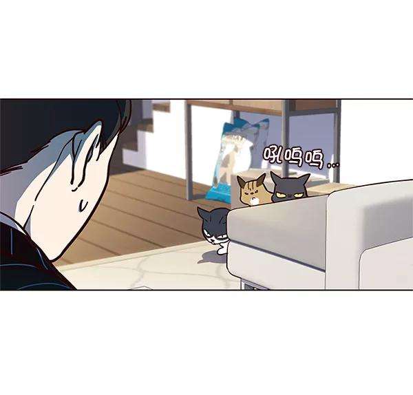 觉醒吧，铲屎官！16话