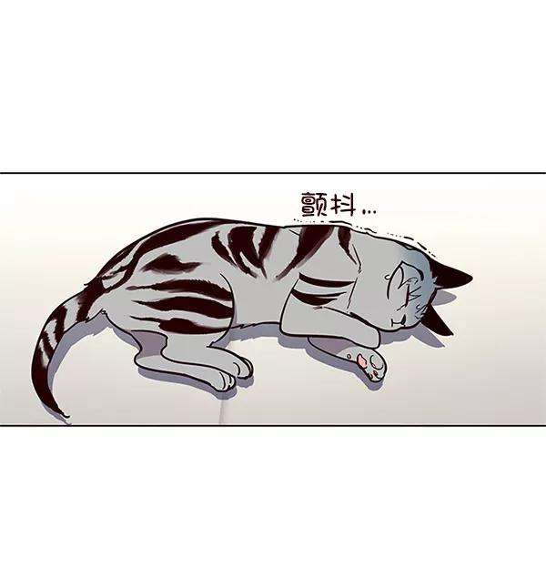 觉醒吧，铲屎官！16话