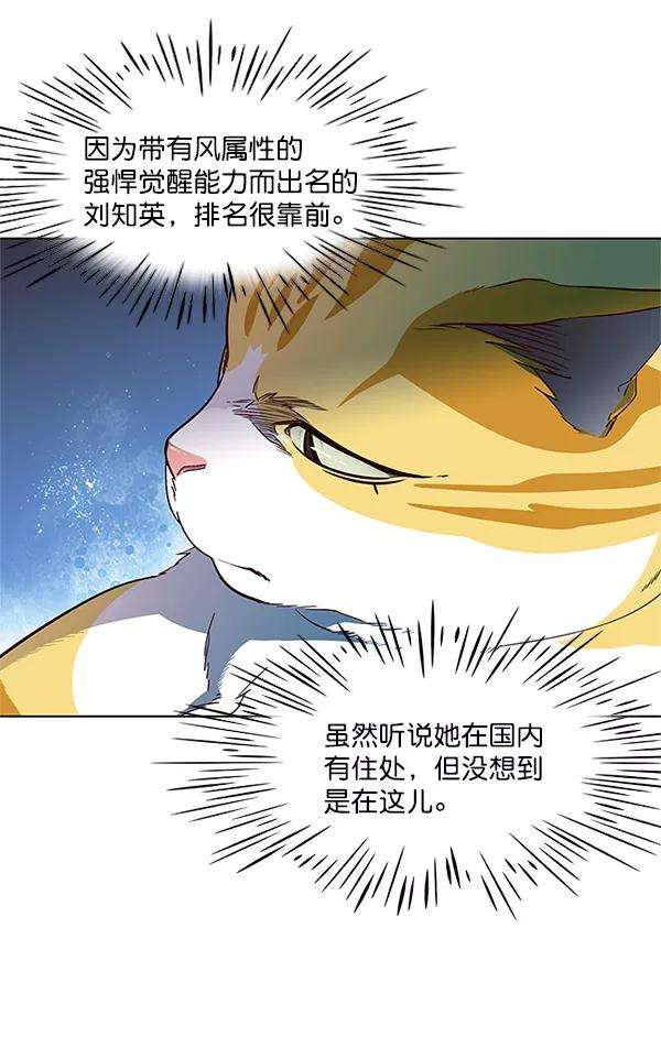 觉醒吧，铲屎官！17话