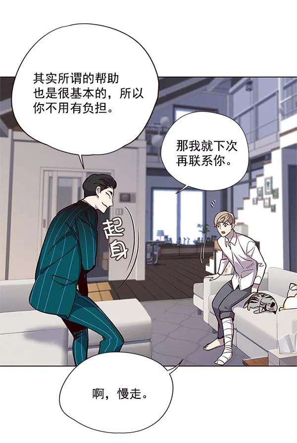 觉醒吧，铲屎官！17话