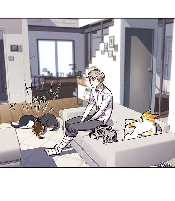 觉醒吧，铲屎官！17话