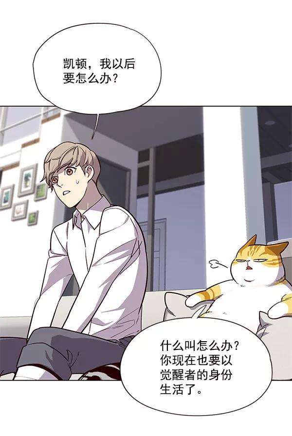 觉醒吧，铲屎官！17话