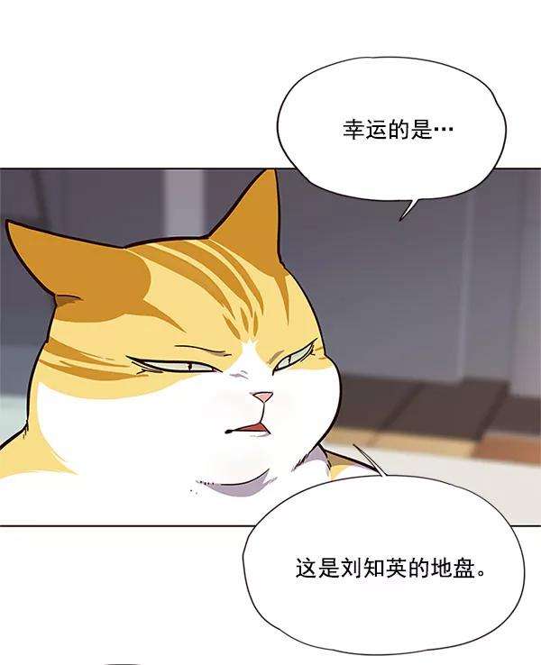 觉醒吧，铲屎官！17话