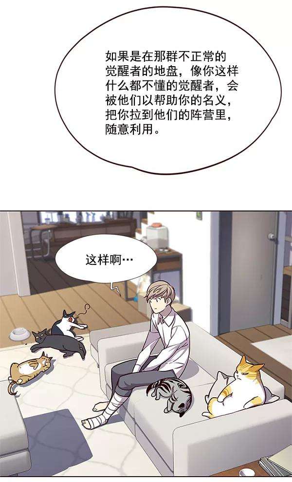 觉醒吧，铲屎官！17话