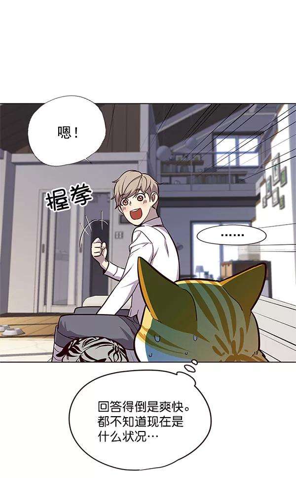 觉醒吧，铲屎官！17话