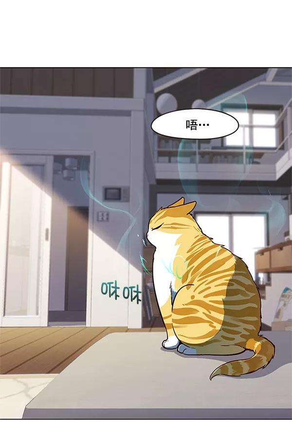 觉醒吧，铲屎官！17话