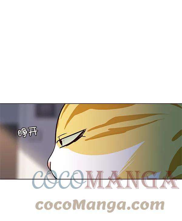 觉醒吧，铲屎官！17话