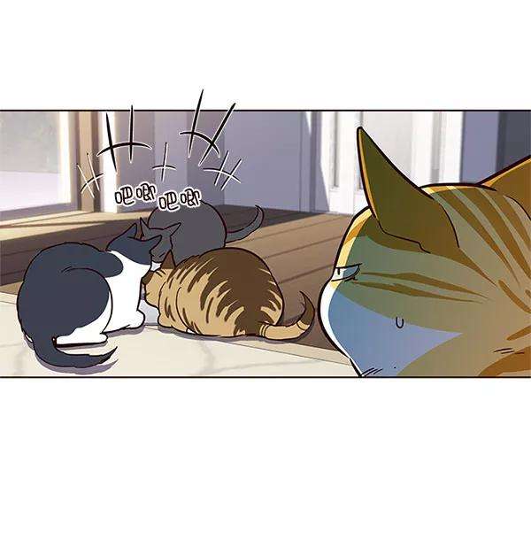 觉醒吧，铲屎官！17话