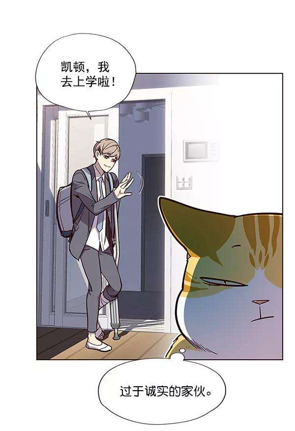 觉醒吧，铲屎官！17话