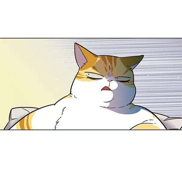 觉醒吧，铲屎官！17话