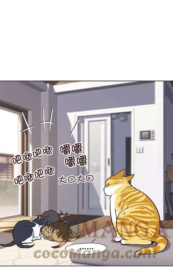 觉醒吧，铲屎官！17话