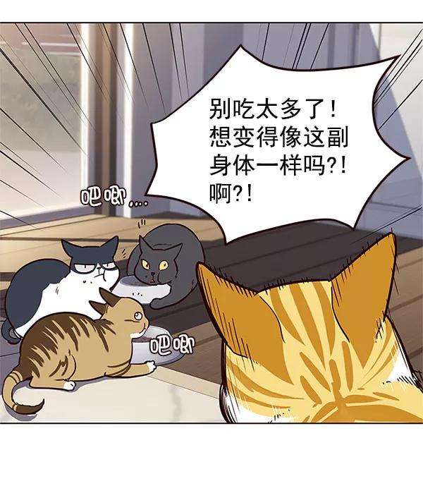 觉醒吧，铲屎官！17话