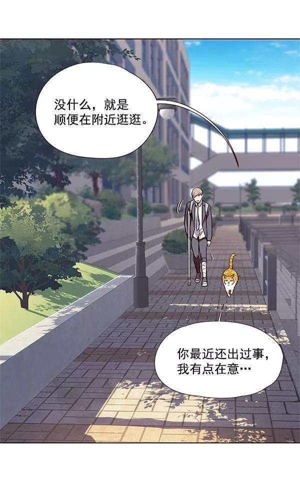 觉醒吧，铲屎官！18话