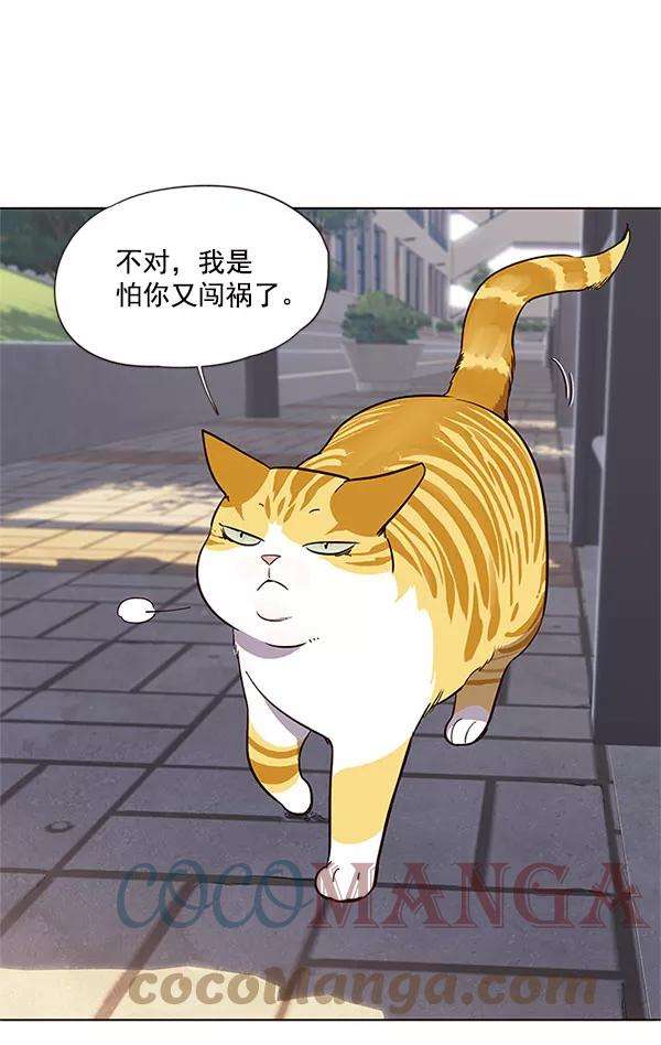 觉醒吧，铲屎官！18话