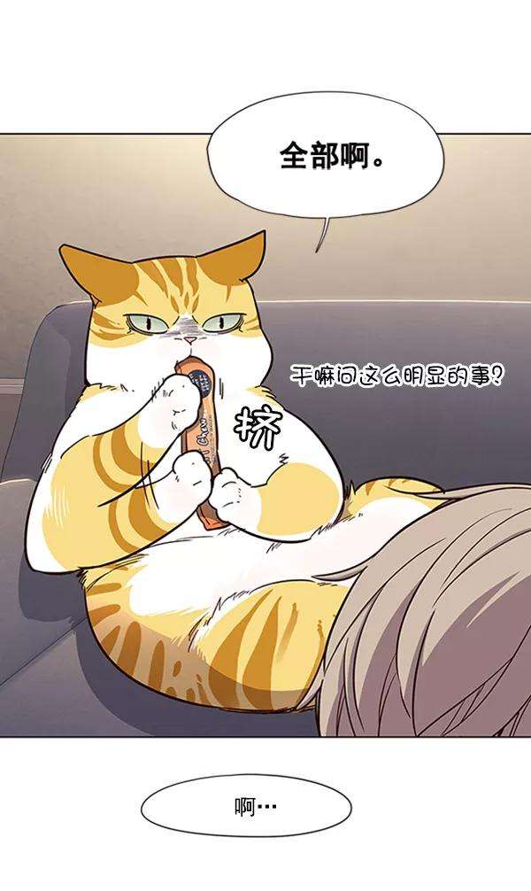 觉醒吧，铲屎官！19话