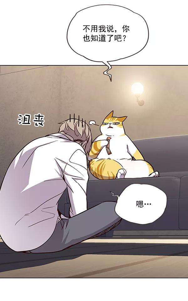 觉醒吧，铲屎官！19话