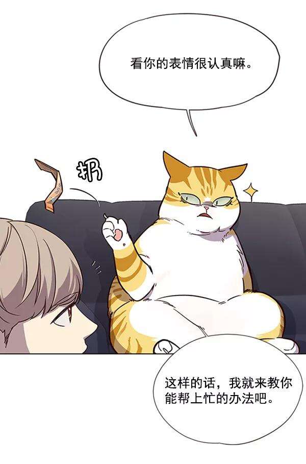 觉醒吧，铲屎官！19话
