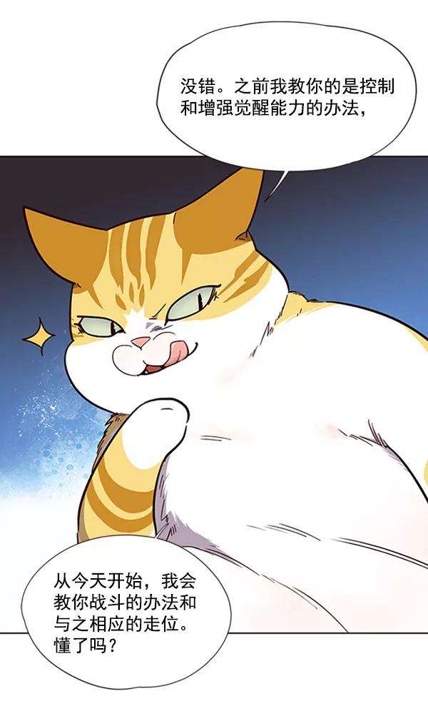 觉醒吧，铲屎官！19话