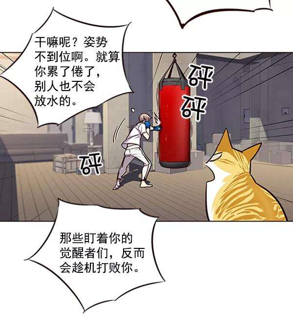 觉醒吧，铲屎官！19话