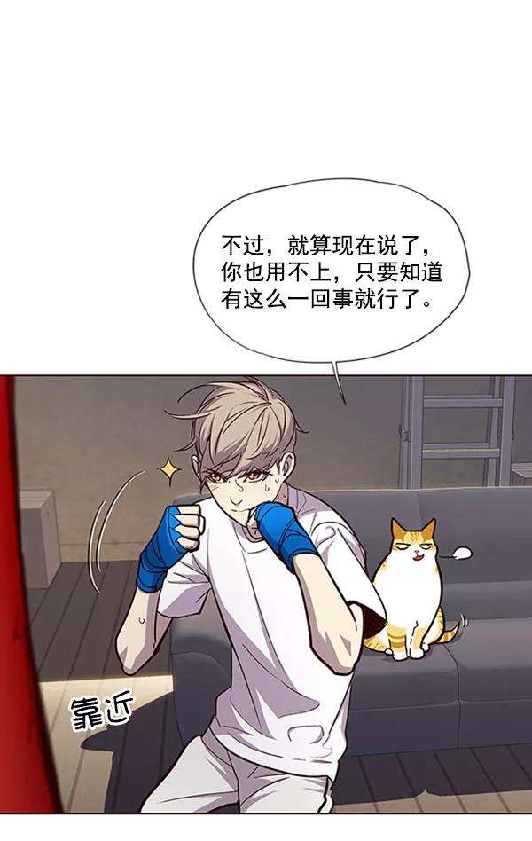 觉醒吧，铲屎官！19话