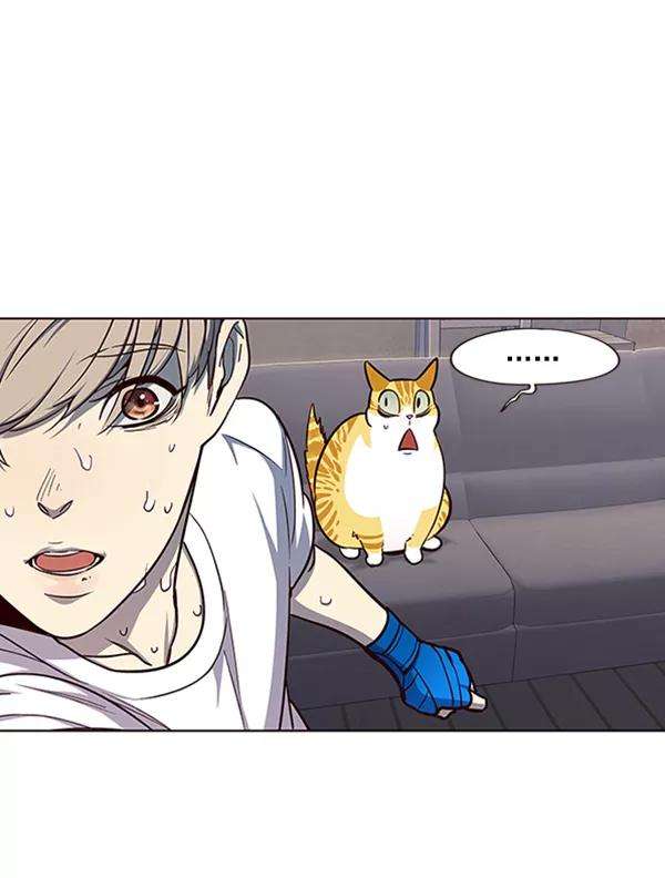 觉醒吧，铲屎官！19话