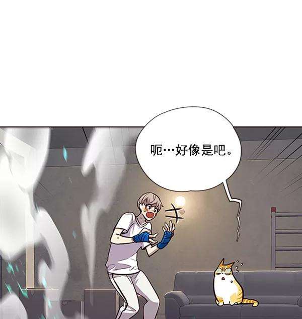觉醒吧，铲屎官！19话