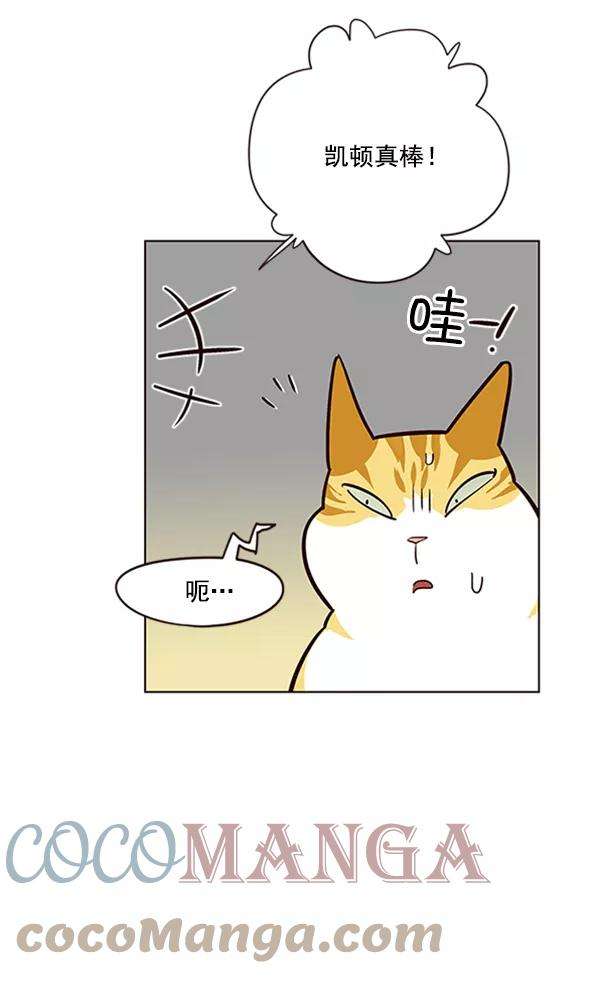 觉醒吧，铲屎官！19话
