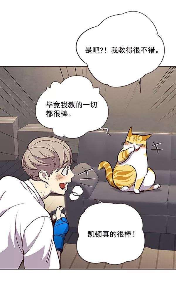 觉醒吧，铲屎官！19话