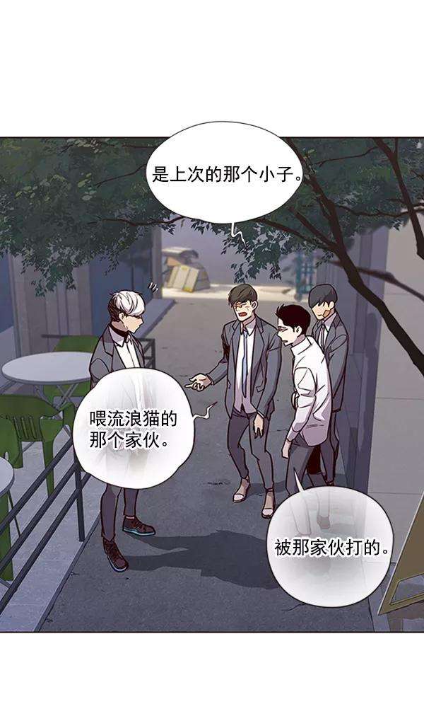 觉醒吧，铲屎官！19话