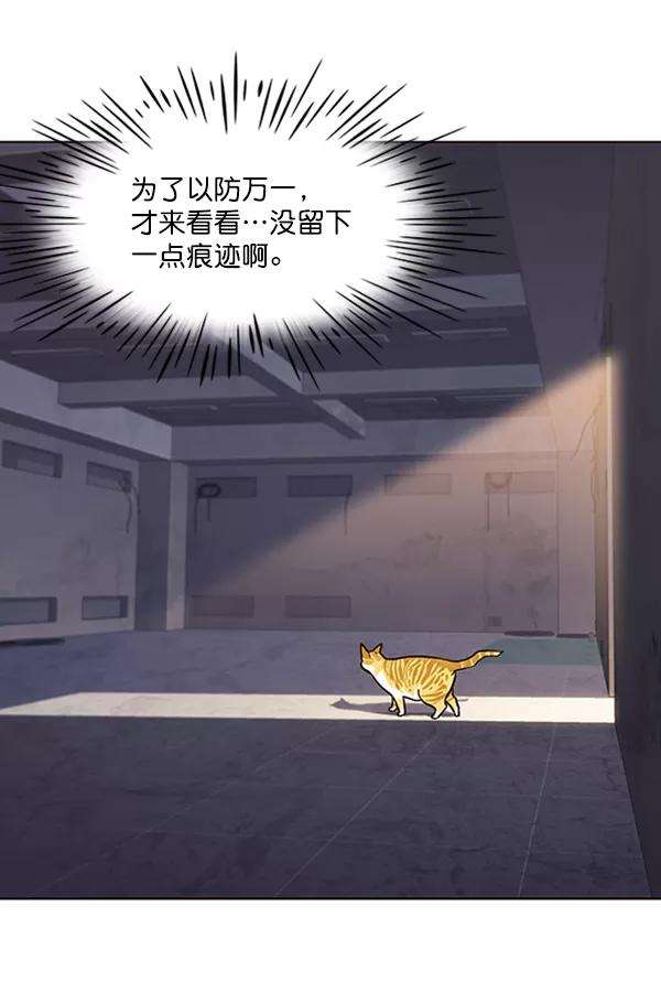 觉醒吧，铲屎官！19话