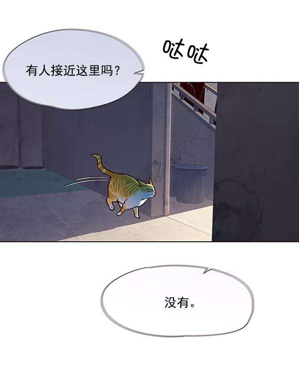 觉醒吧，铲屎官！19话