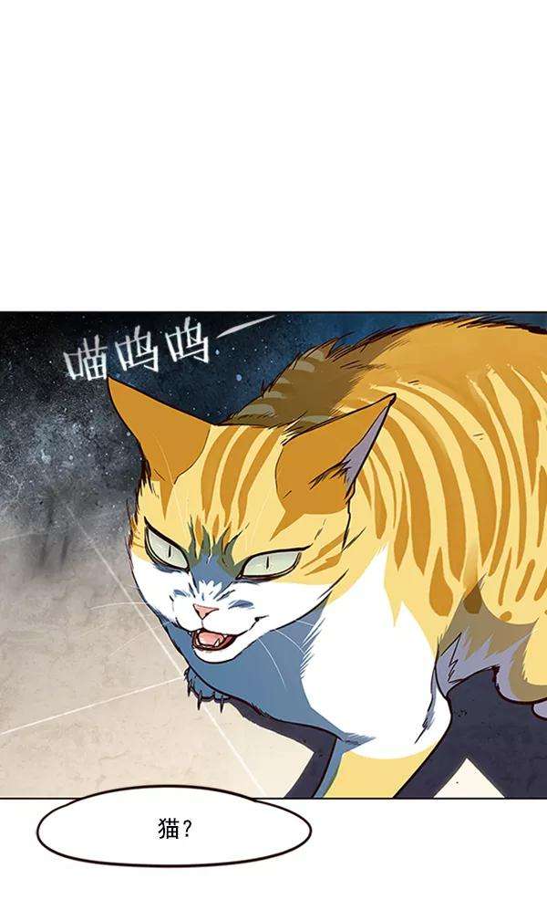 觉醒吧，铲屎官！19话