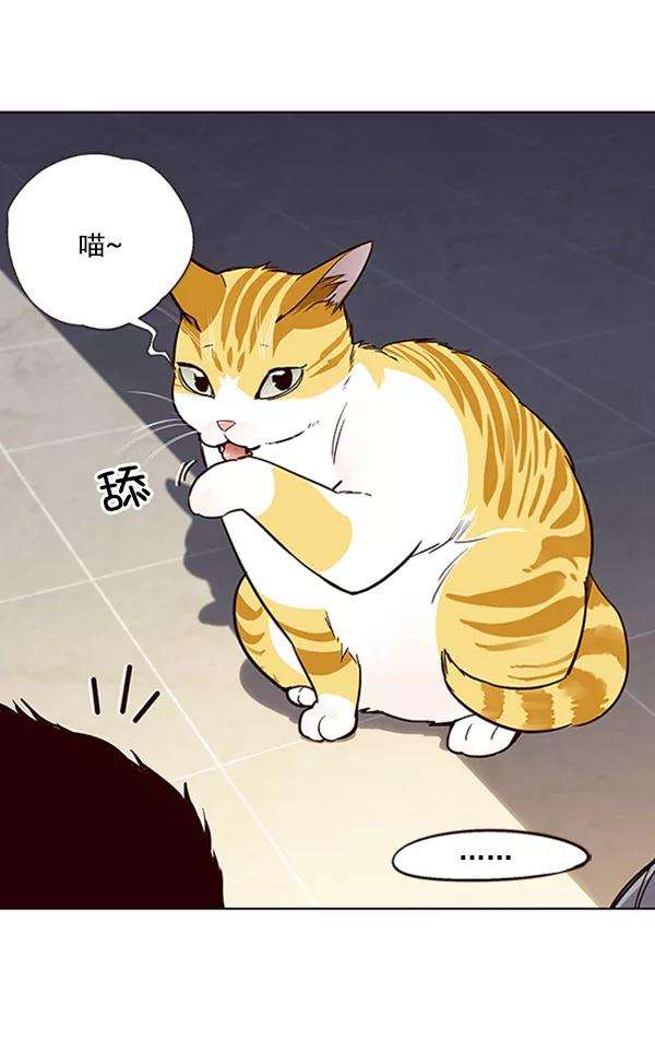 觉醒吧，铲屎官！19话