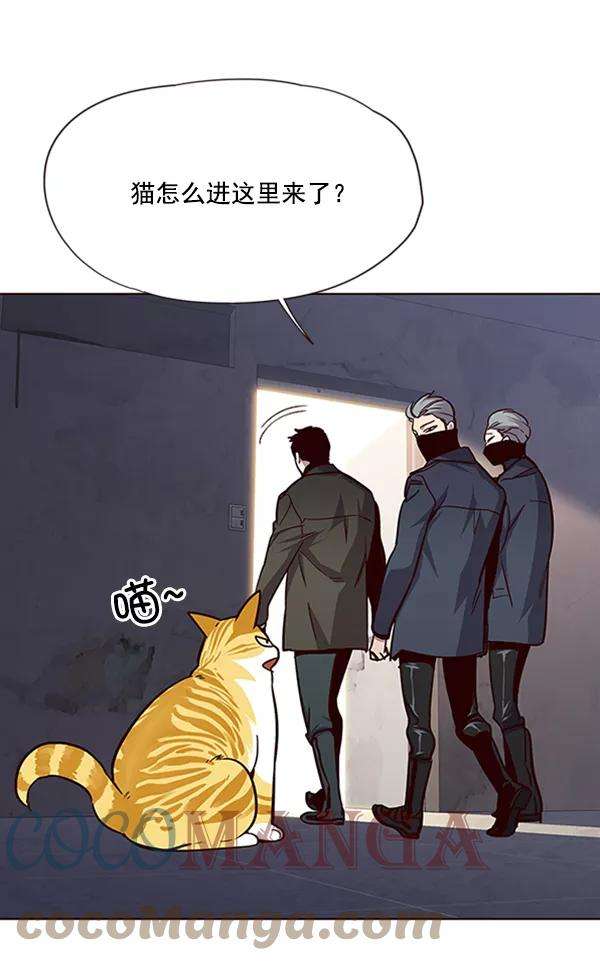 觉醒吧，铲屎官！19话