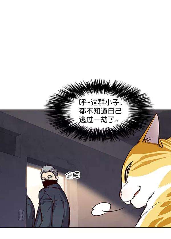 觉醒吧，铲屎官！19话