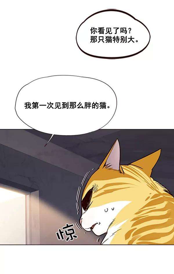 觉醒吧，铲屎官！19话