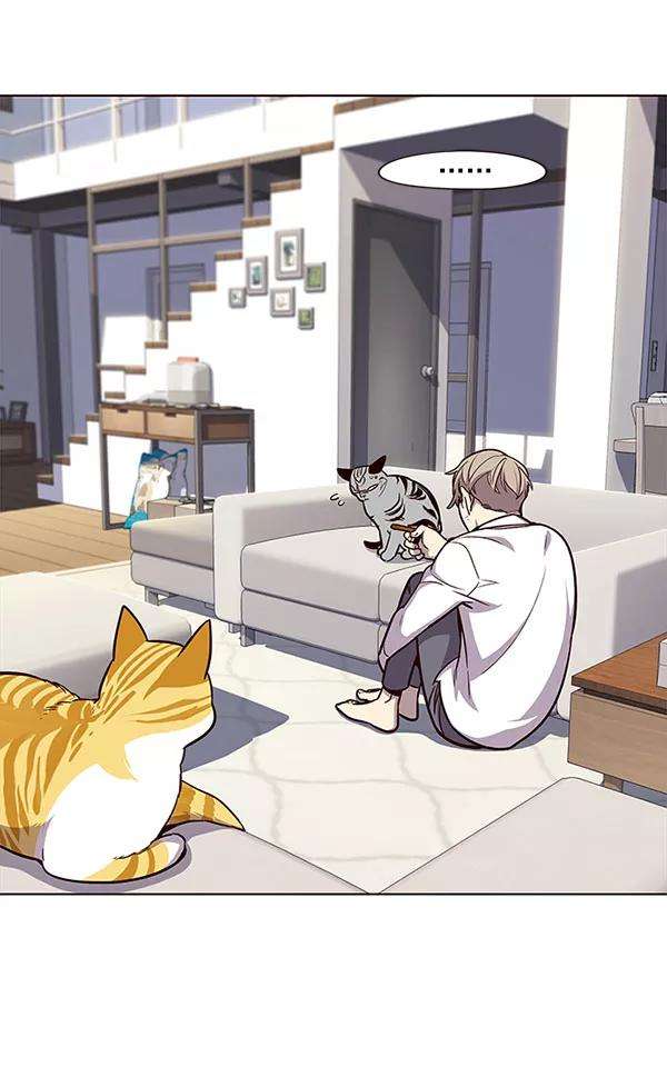 觉醒吧，铲屎官！21话