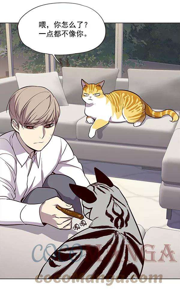 觉醒吧，铲屎官！21话