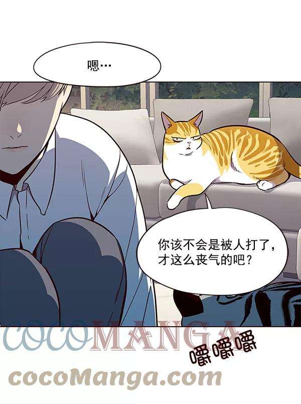 觉醒吧，铲屎官！21话