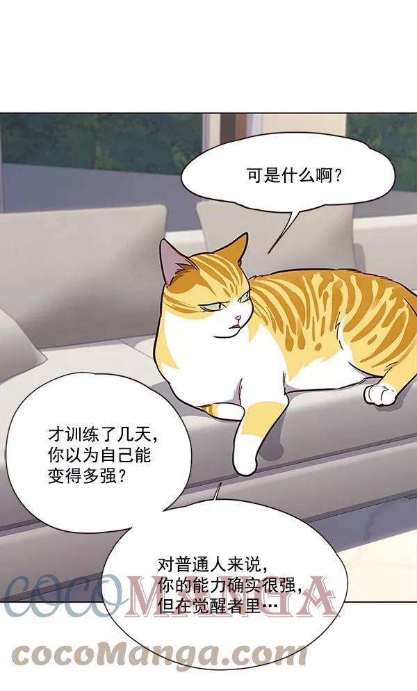 觉醒吧，铲屎官！21话